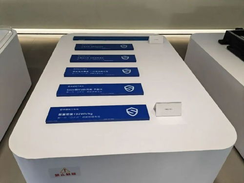 動(dòng)力電池發(fā)展新動(dòng)向 創(chuàng)新 安全 可持續(xù)成關(guān)鍵